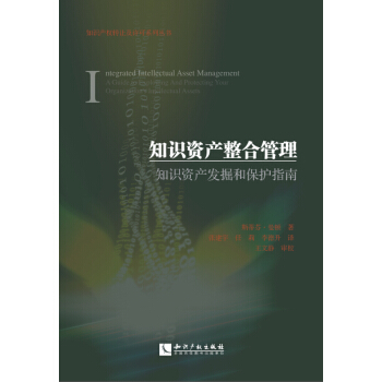 知识资产整合管理：知识资产发掘和保护指南 pdf epub mobi 电子书 下载