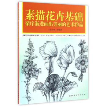 素描花卉基础