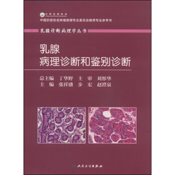 乳腺诊断病理学丛书：乳腺病理诊断和鉴别诊断 pdf epub mobi 电子书 下载