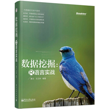 大數據時代的R語言·數據挖掘：R語言實戰 pdf epub mobi 電子書 下載
