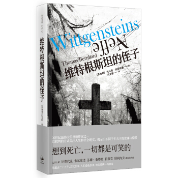 维特根斯坦的侄子 pdf epub mobi 电子书 下载