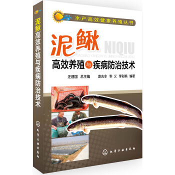 水产高效健康养殖丛书：泥鳅高效养殖与疾病防治技术 pdf epub mobi 电子书 下载