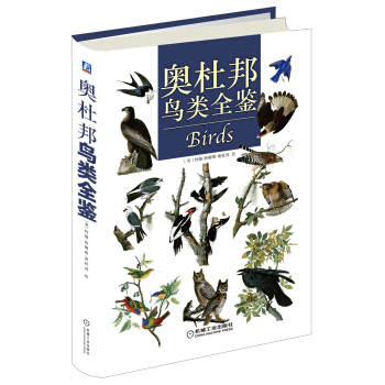 奥杜邦鸟类全鉴 pdf epub mobi 电子书 下载