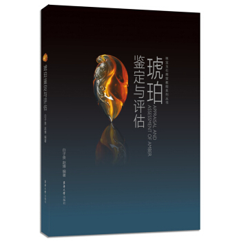 琥珀鑒定與評估 pdf epub mobi 電子書 下載