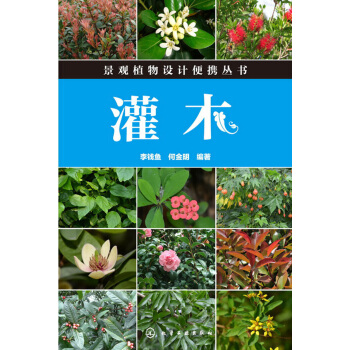 灌木 pdf epub mobi 电子书 下载