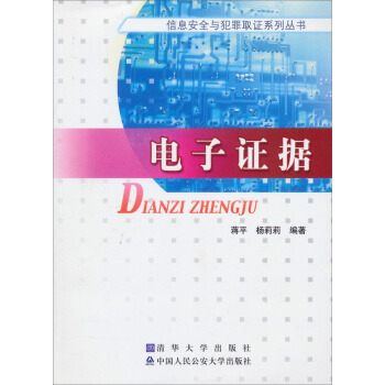 信息安全与犯罪取证系列丛书：电子证据 pdf epub mobi 电子书 下载