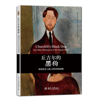 沙發圖書館·丘吉爾的黑狗：憂鬱癥及人類心靈的其他現象 pdf epub mobi 電子書 下載