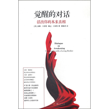 觉醒的对话：活出你的本来真相 [Dialogue on Awakening:Communion With a Loving Brother] pdf epub mobi 电子书 下载