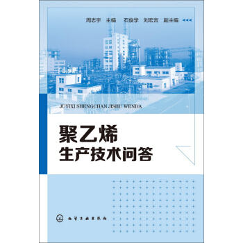 聚乙烯生产技术问答 pdf epub mobi 电子书 下载