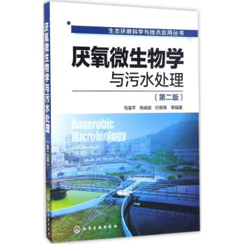 厌氧微生物学与污水处理(第2版) pdf epub mobi 电子书 下载