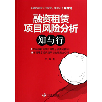 融资租赁项目风险分析：知与行 pdf epub mobi 电子书 下载