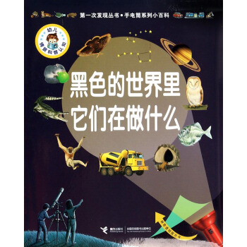 第一次发现丛书·手电筒系列小百科：黑色的世界里它们在做什么 [11-14岁] pdf epub mobi 电子书 下载