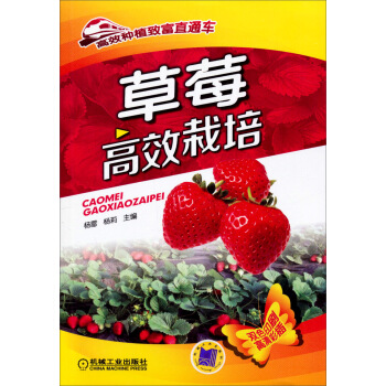 高效种植致富直通车：草莓高效栽培 pdf epub mobi 电子书 下载