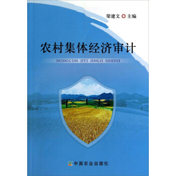 農村集體經濟審計 pdf epub mobi 電子書 下載