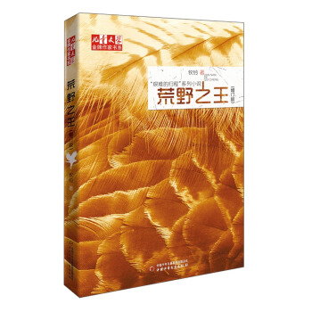 儿童文学金牌作家书系·“艰难的归程”系列小说：荒野之王（修订版） [7-14岁] pdf epub mobi 电子书 下载