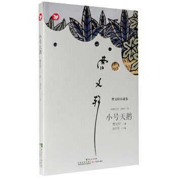 曹文軒新作·小號天鵝 [11-14歲] pdf epub mobi 電子書 下載