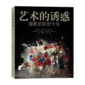 艺术的诱惑：摄影的前世今生 pdf epub mobi 电子书 下载