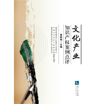 文化产业知识产权案例点评 pdf epub mobi 电子书 下载