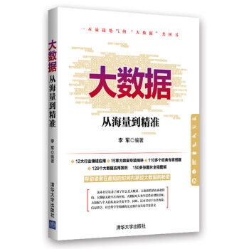 大数据：从海量到精准 pdf epub mobi 电子书 下载
