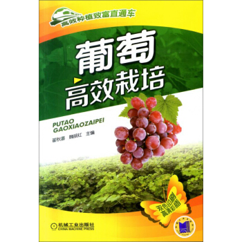 高效种植致富直通车·葡萄高效栽培