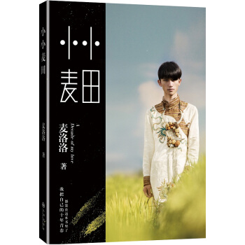 小小麦田 pdf epub mobi 下载