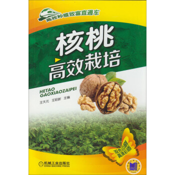 核桃高效栽培