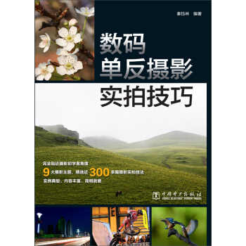 数码单反摄影实拍技巧 pdf epub mobi 电子书 下载