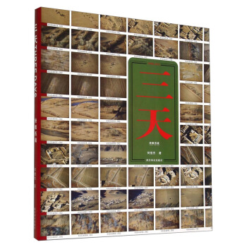 三天：俯瞰西藏 [Three Days：Look over Tibet] pdf epub mobi 電子書 下載