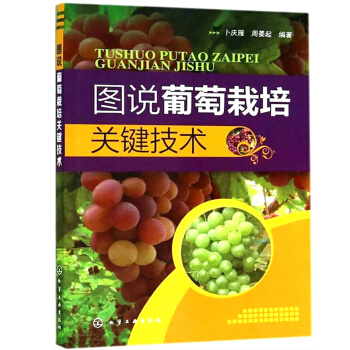 图说葡萄栽培关键技术 葡萄种植技术书籍 葡萄种植技术大全书 农业致富书籍 pdf epub mobi 电子书 下载