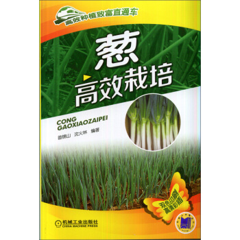 高效種植緻富直通車:蔥高效栽培