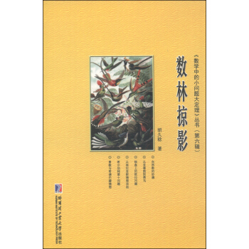 《数学中的小问题大定理》丛书（第六辑）：数林掠影 pdf epub mobi 电子书 下载