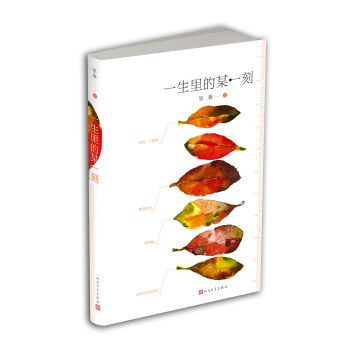 一生里的某一刻 pdf epub mobi 电子书 下载