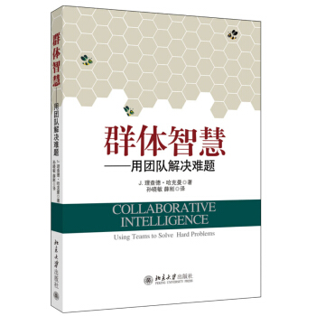 群体智慧：用团队解决难题 pdf epub mobi 电子书 下载