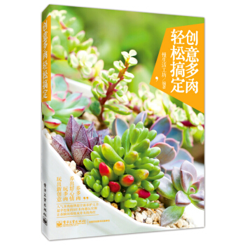 创意多肉，轻松搞定 pdf epub mobi 电子书 下载