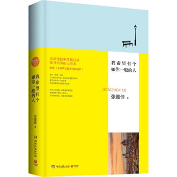 我希望有个如你一般的人 pdf epub mobi 电子书 下载