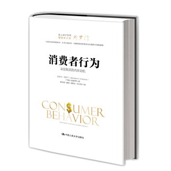 消费者行为——决定购买的内在动机（跟大师学管理） pdf epub mobi 电子书 下载
