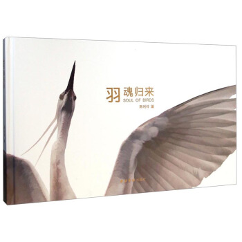 羽魂归来 pdf epub mobi 电子书 下载