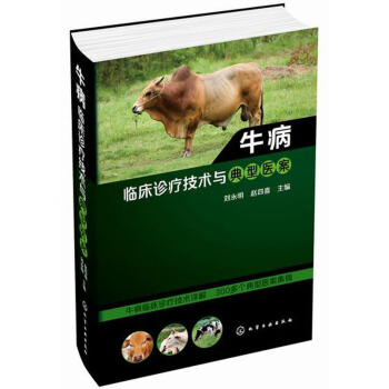 牛病临床诊疗技术与典型医案 pdf epub mobi 电子书 下载