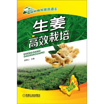 高效种植致富直通车：生姜高效栽培 pdf epub mobi 电子书 下载