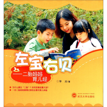 左宝右贝：二胎妈妈育儿经 pdf epub mobi 电子书 下载