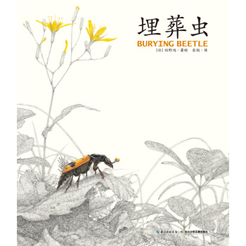 馆野鸿科学绘本·埋葬虫（平装） [7-10岁] pdf epub mobi 电子书 下载