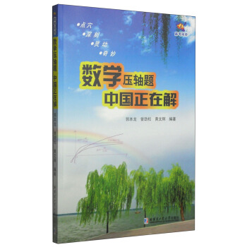 数学压轴题：中国正在解 pdf epub mobi 电子书 下载