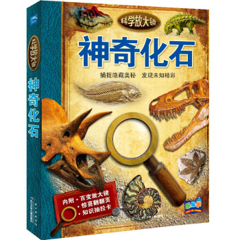 科學放大鏡：神奇化石 [7-10歲] pdf epub mobi 電子書 下載