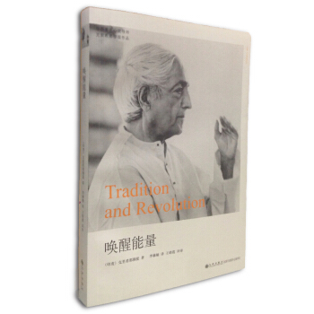 唤醒能量 pdf epub mobi 下载