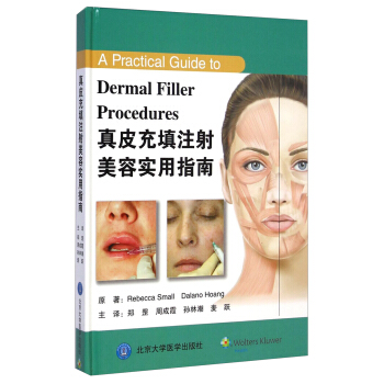 真皮充填注射美容實用指南 [A Practical Guide to Dermal Filler Procedures] pdf epub mobi 電子書 下載