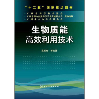 生物質能高效利用技術