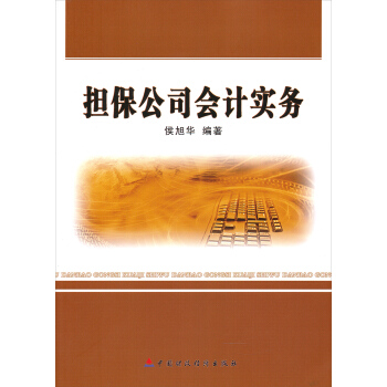 担保公司会计实务 pdf epub mobi 电子书 下载