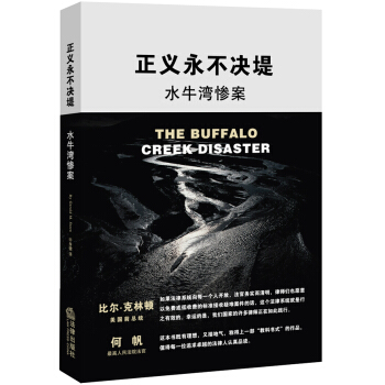 正義永不決堤：水牛灣慘案 pdf epub mobi 電子書 下載