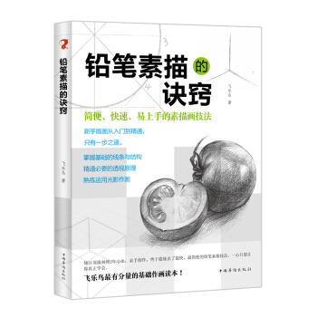 鉛筆素描的訣竅 pdf epub mobi 電子書 下載