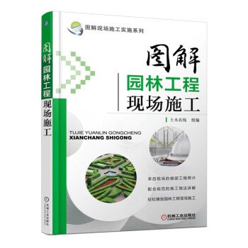图解现场施工实施系列：图解园林工程现场施工 pdf epub mobi 电子书 下载